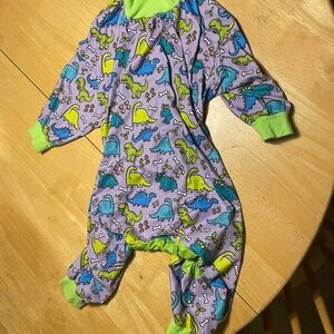 Dinosaur Print Pittie Clothing Co pajamas